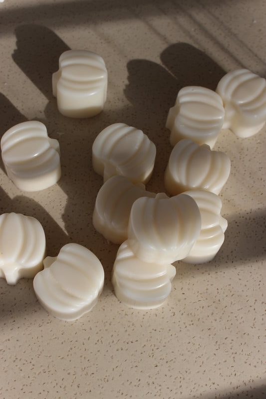 Mini Pumpkin Wax Melts