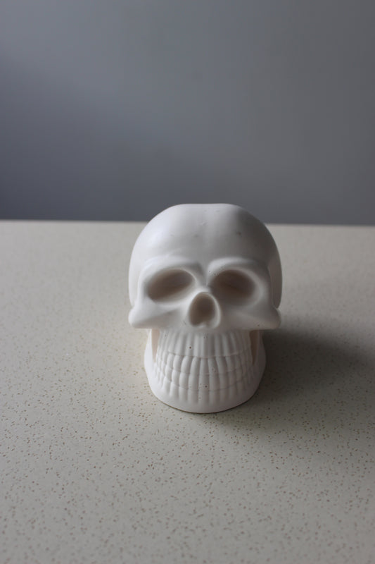 Skull Decor